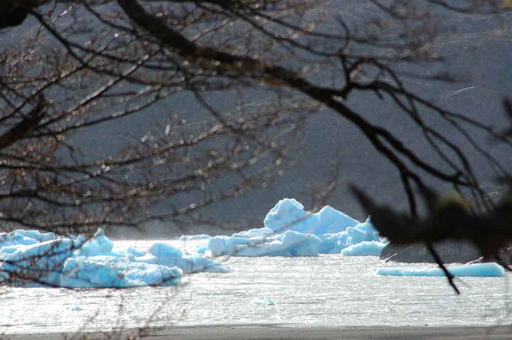 27 - Chile - parque nacional Torres del Paine, lago Grey